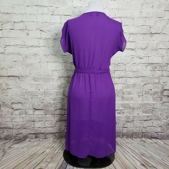 VTG Brasseur of California‎ Purple Sheer Nightgown - Picture 6 of 8